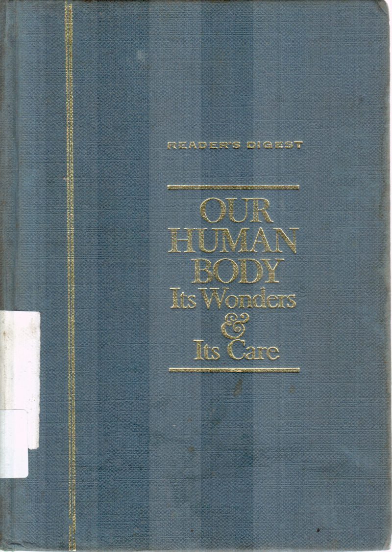 OUR HUMAN BODY