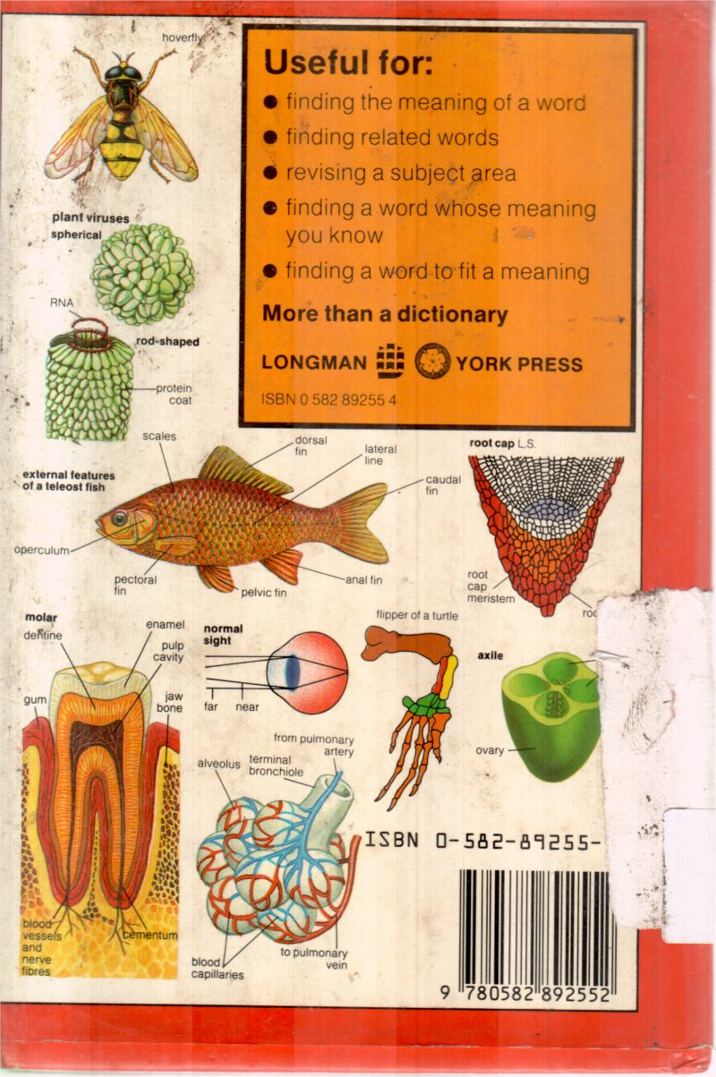 BIOLOGY BY LONGMAN - Image 2