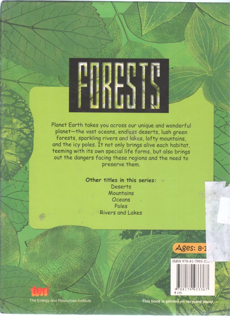 FORESTS BY RANI IYER - Image 2