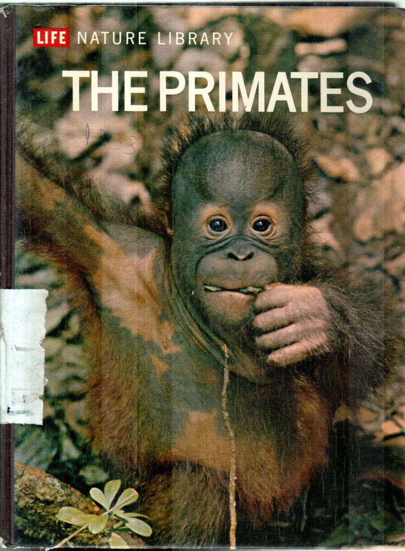 THE PRIMATES BY SAREL EIMERL