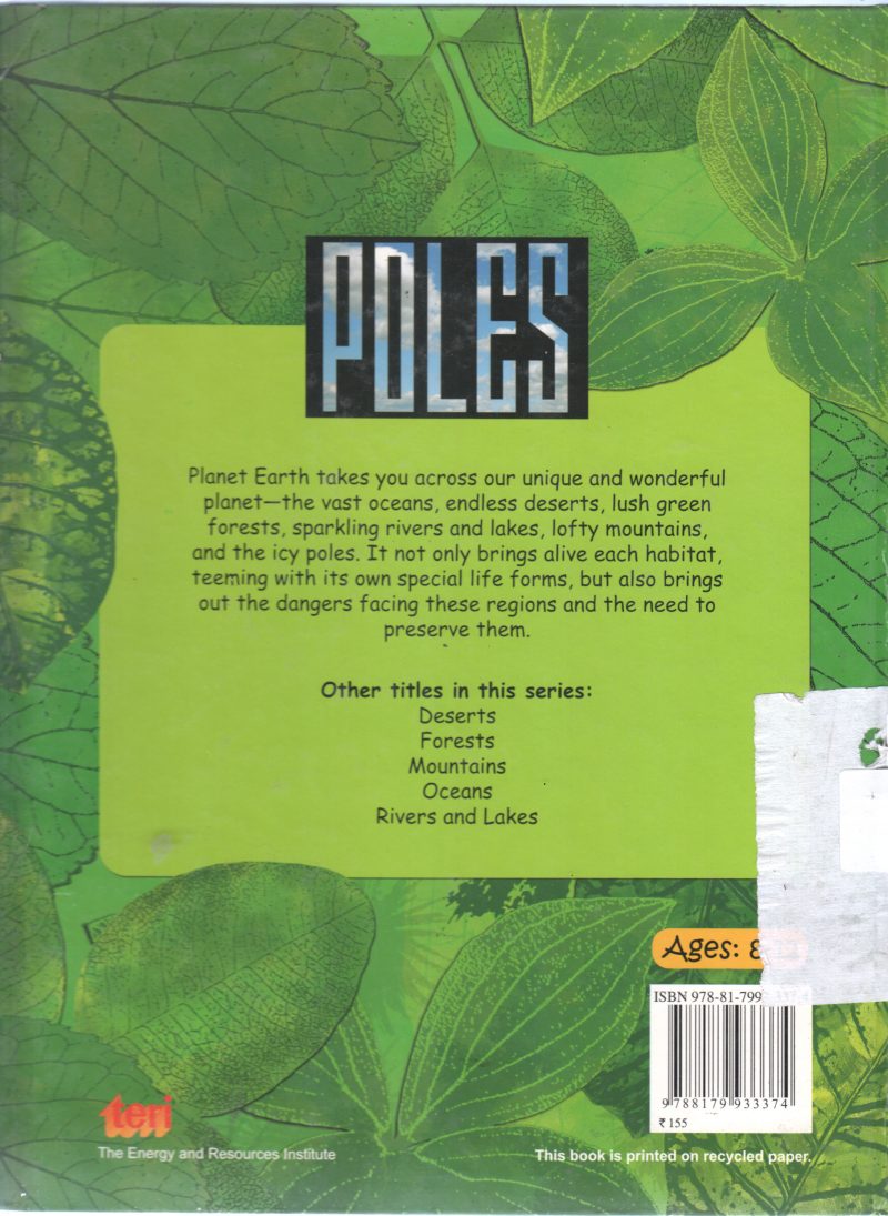 POLES BY RANI IYER - Image 2