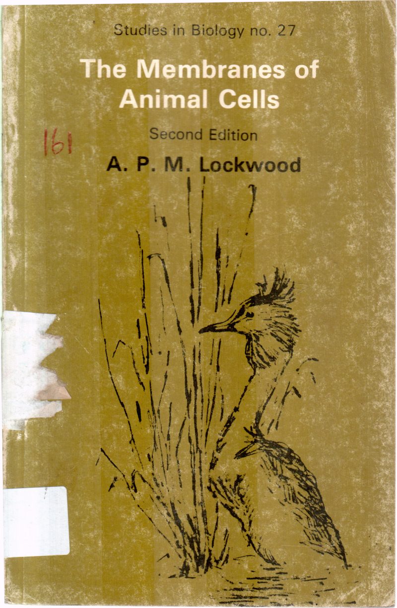 ANIMALS CELLS BY A,P,M,LOCKWOOD