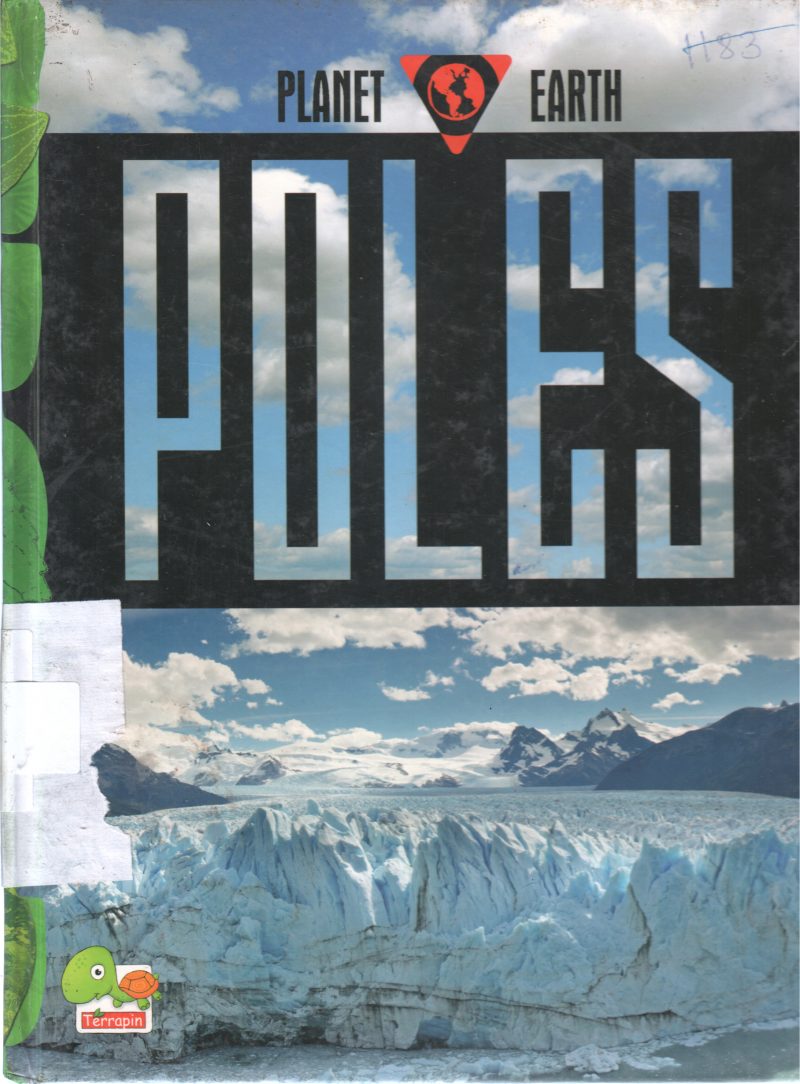 POLES BY RANI IYER