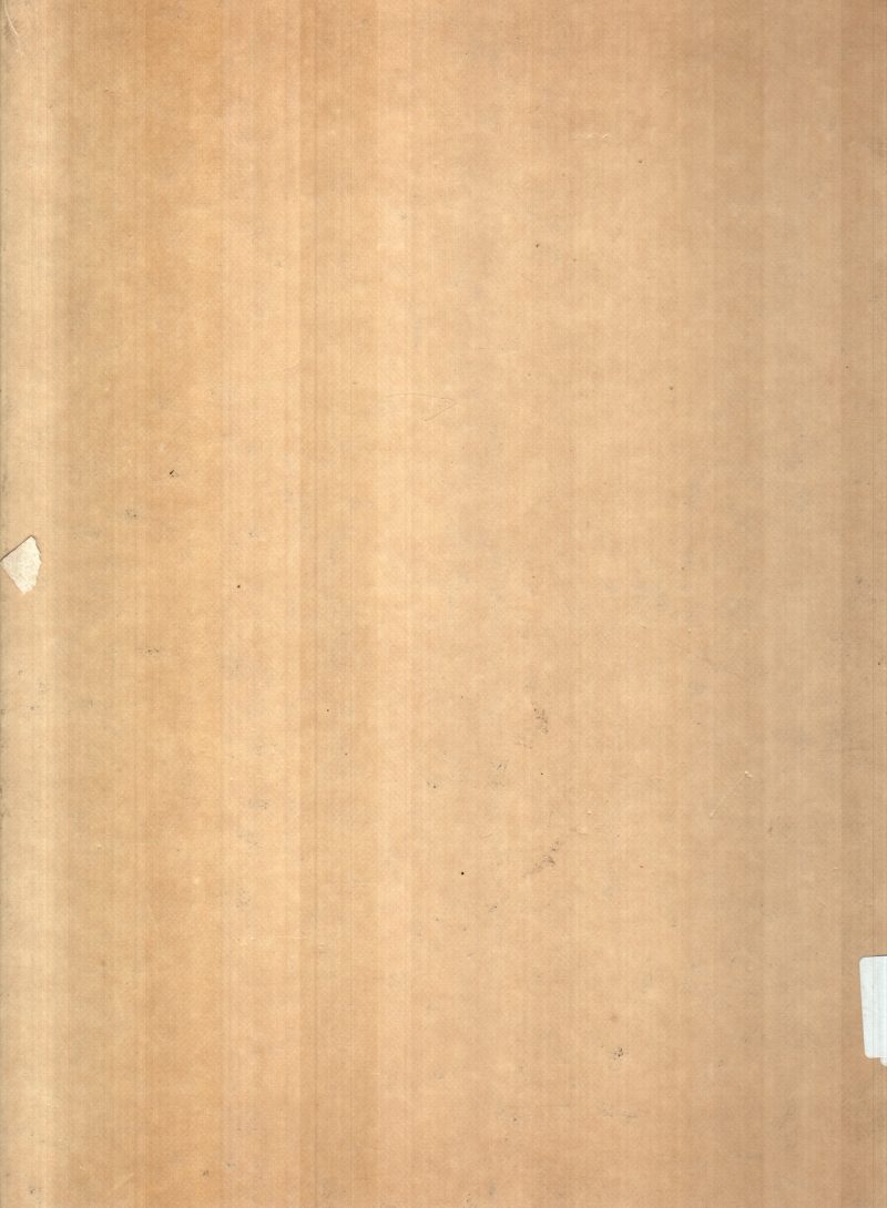 PLANTS - Image 2