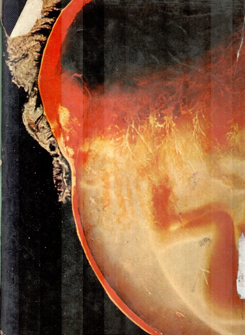 MIND & BODY BY MARSHAL CAVENDISH - Image 2