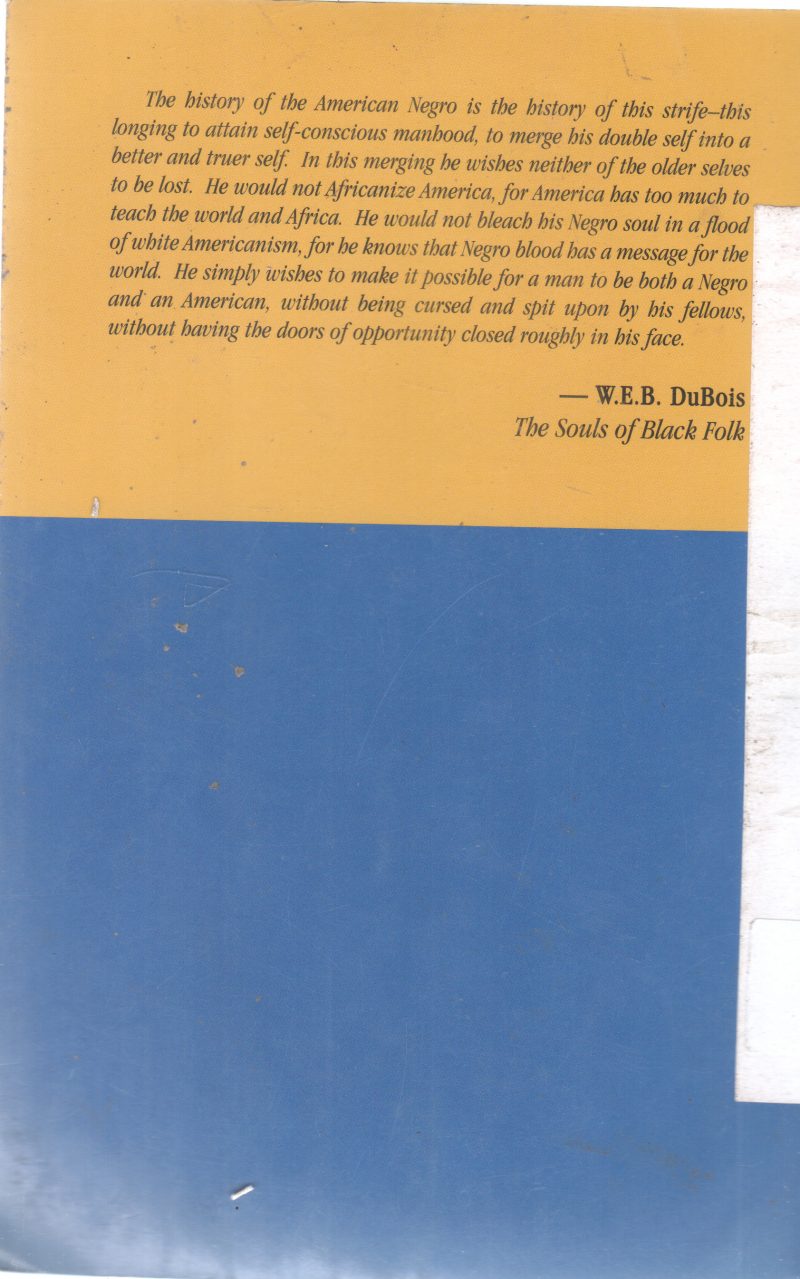 ESSAYS ON AFRICAN AMERICAN HISTORY, CULTURE AND SOCIETY - Image 2