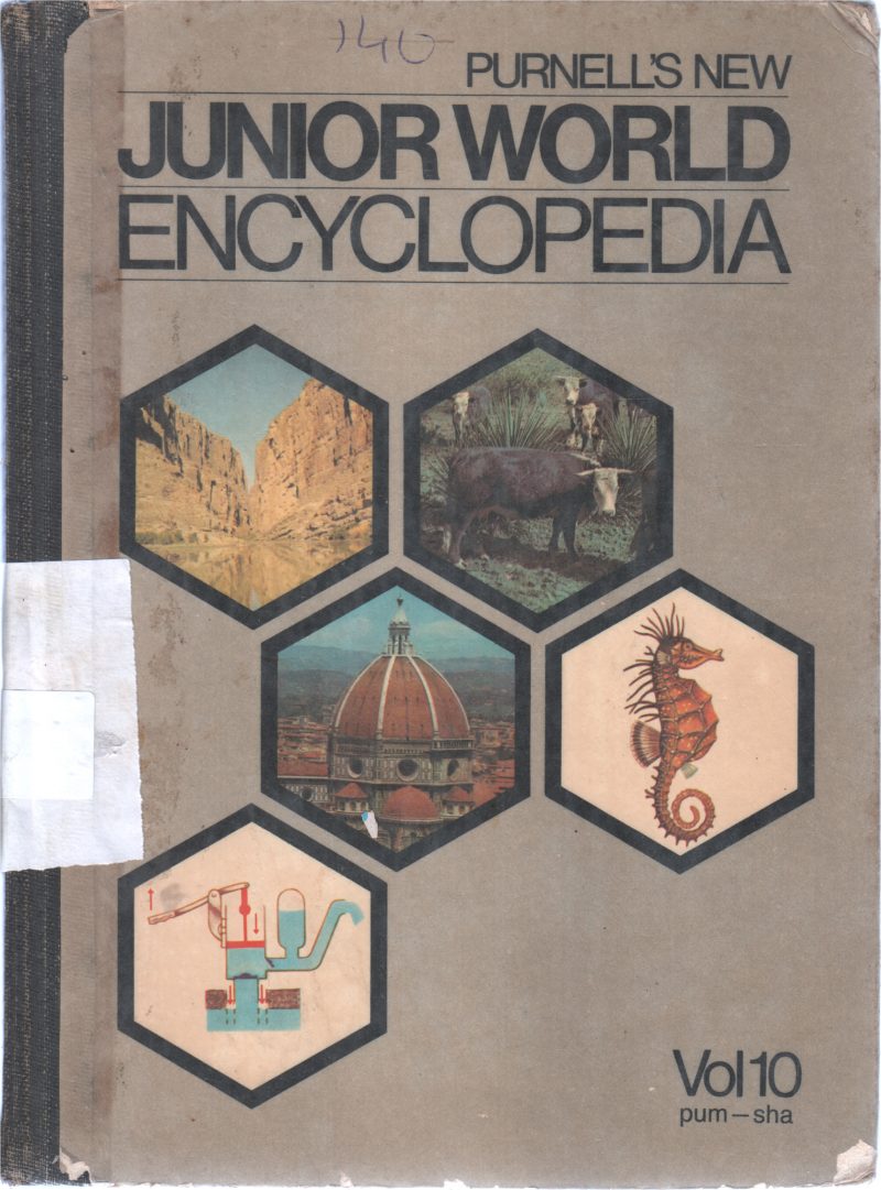 JUNIOR WORLD ENCYCLOPEDIA VOL10 BY PURNELLS NEW