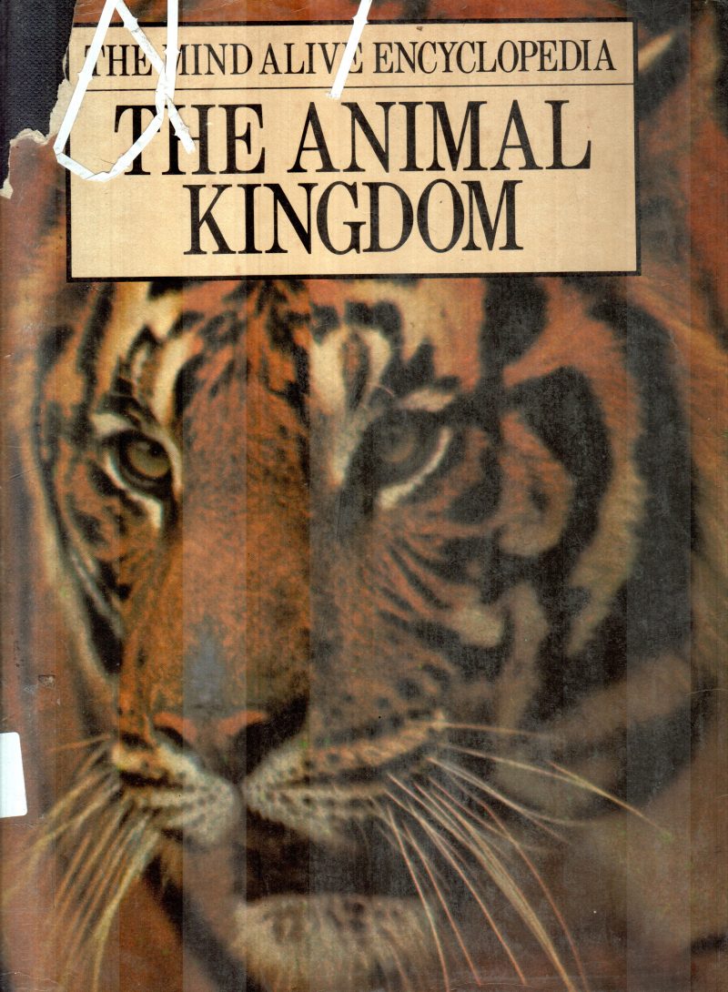 THE ANIMAL KINGDOM