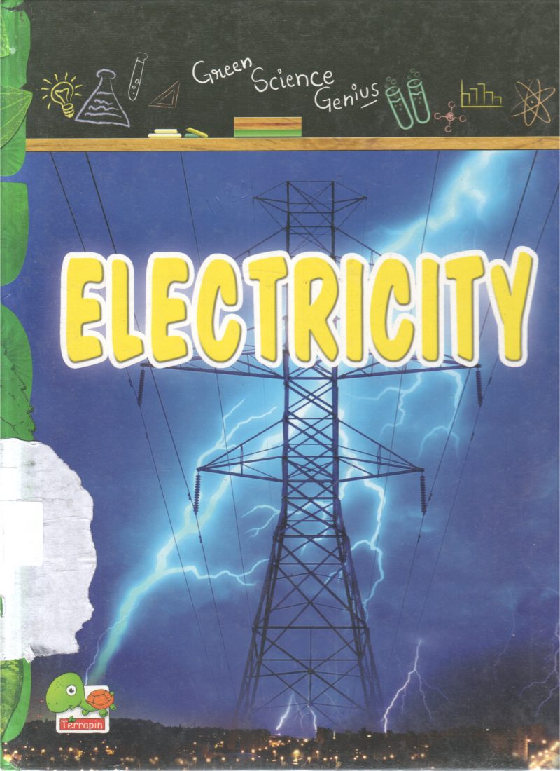 ELECTRICITY BY RUPAK GHOSH