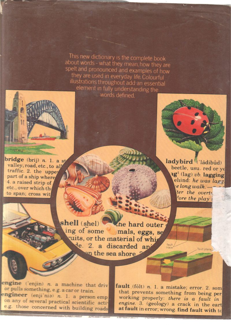 CHILDRENS DICTIONOARY - Image 2
