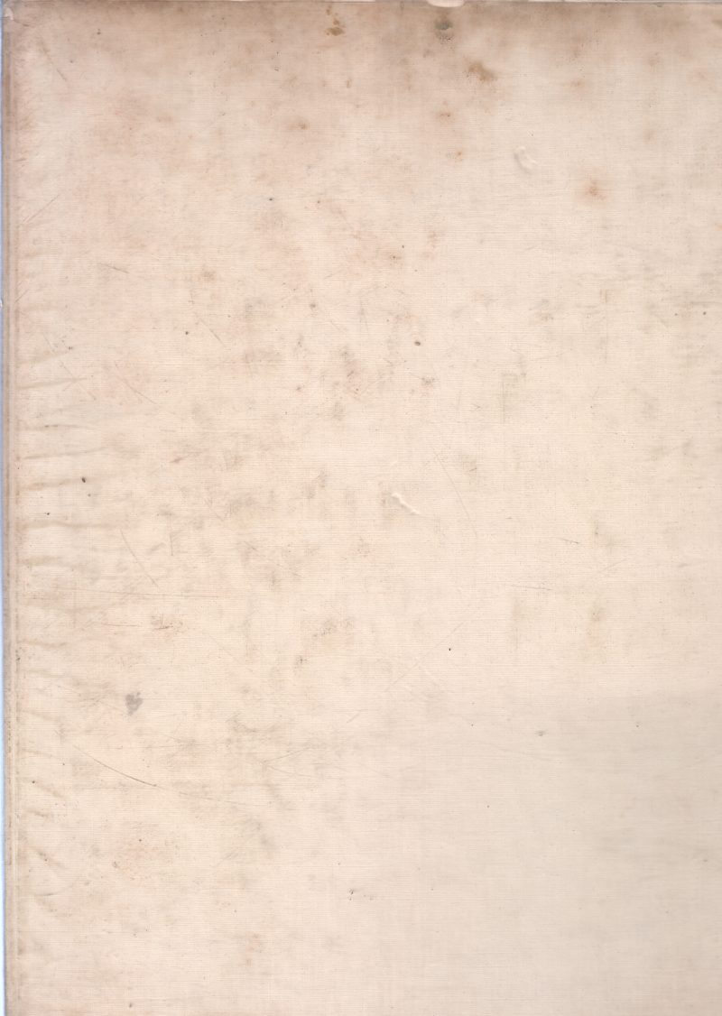 INSECTS BY YOSHIHIKO KUROSHIWA - Image 2