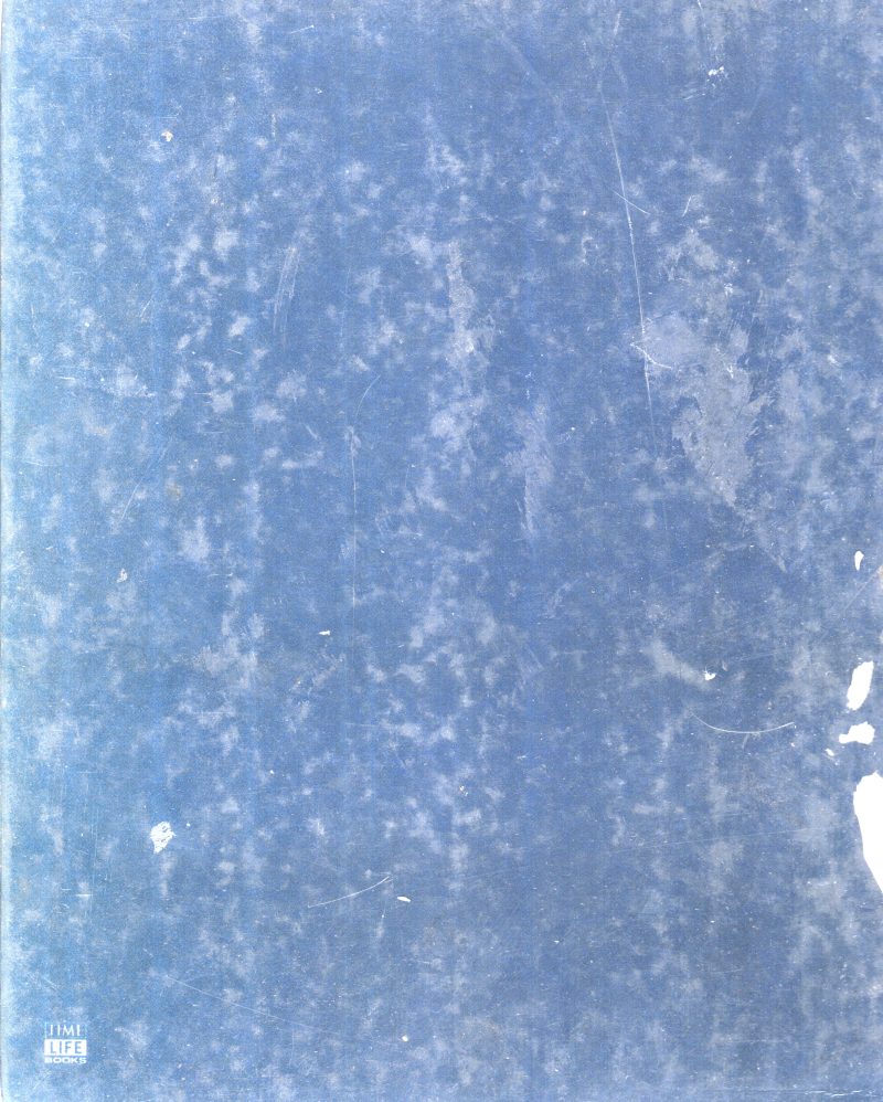 STATUS AND CONFORMITY BY RICHARD W. MURPHY - Image 3