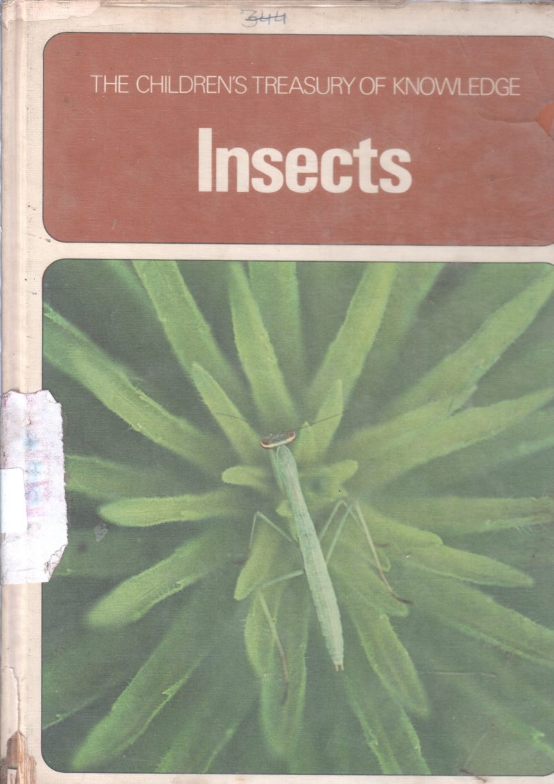 INSECTS BY YOSHIHIKO KUROSHIWA