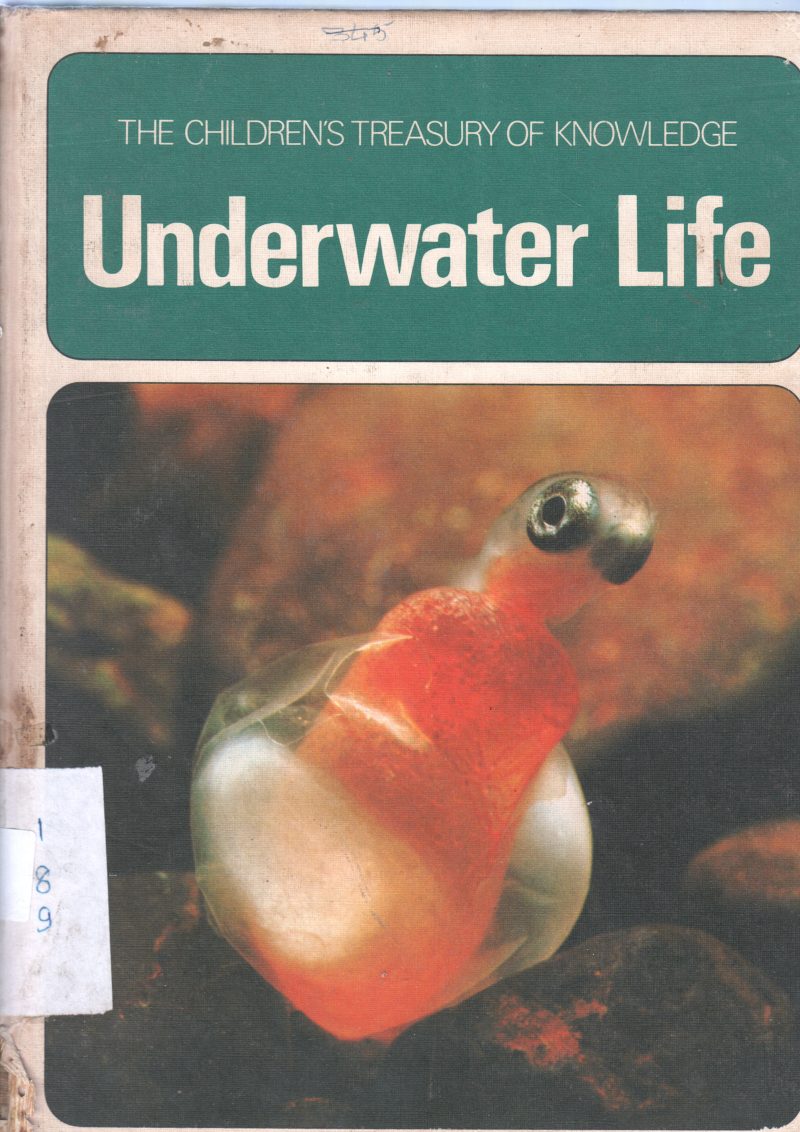 UNDERWATER LIFE BY MUNEAKI ABE