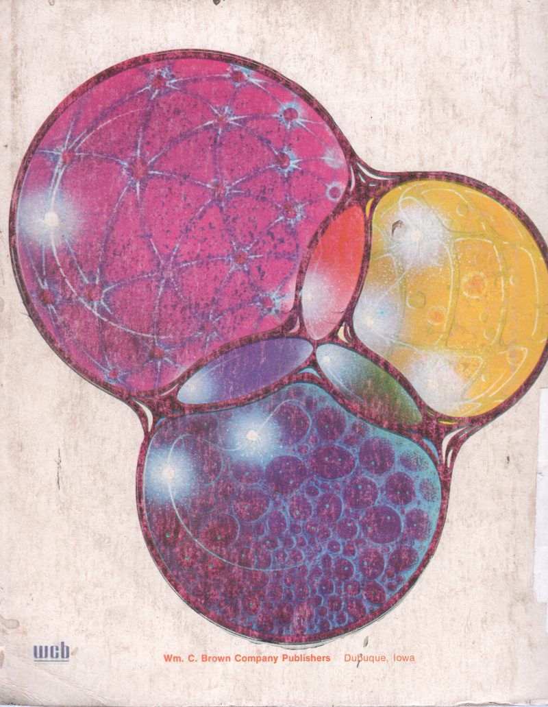 CONCEPTS OF BIOLOGY BY ELDON D ENGER - Image 2