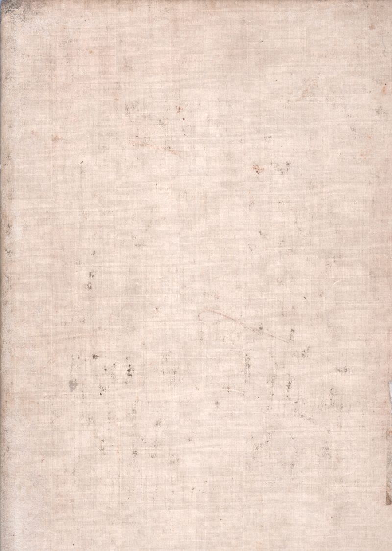 ANIMALS - Image 2