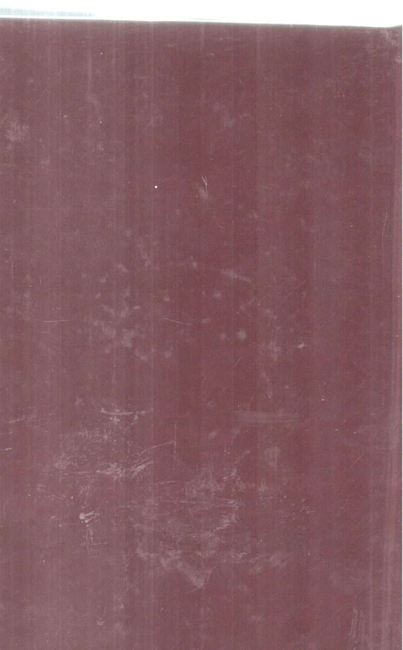 THE CONSTITUTION OF INDIA (DIGLOT EDITION) BY GROUP OF EDITORS - Image 2