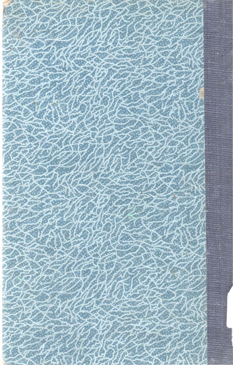 THE MISSING CHUMS BY FRANKLIN W. DIXON - Image 2