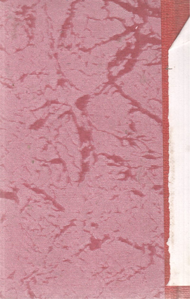 PASSWORD TO LARKSPUR LANE BY CAROLYN KEENE - Image 2