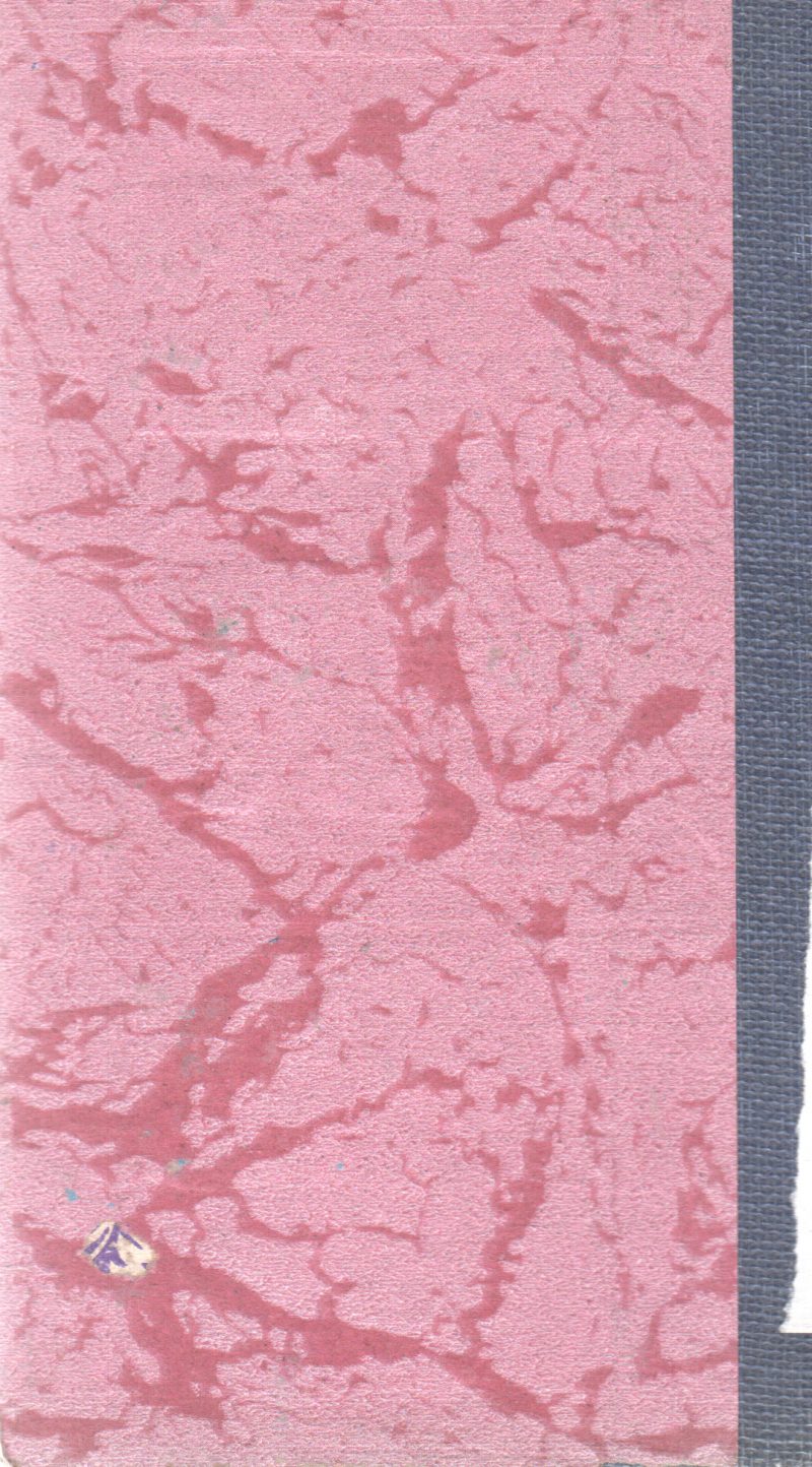 THE LOVING SPIRIT BY DAPHNE DU MAURIER - Image 2