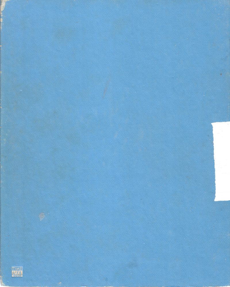 THE INDIVIDUAL - Image 2
