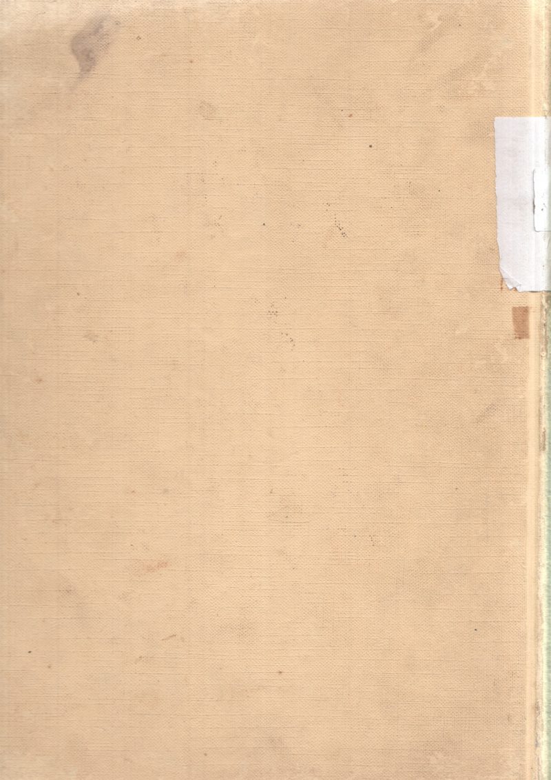 IN SYMPHONY - Image 2
