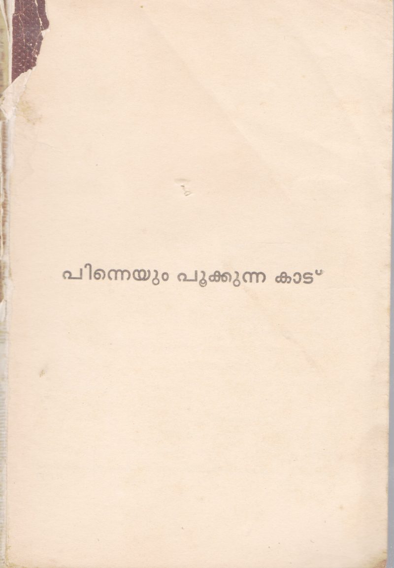 PINNEYUM POOKKUNNA KAADU BY PERUMBADAVAM