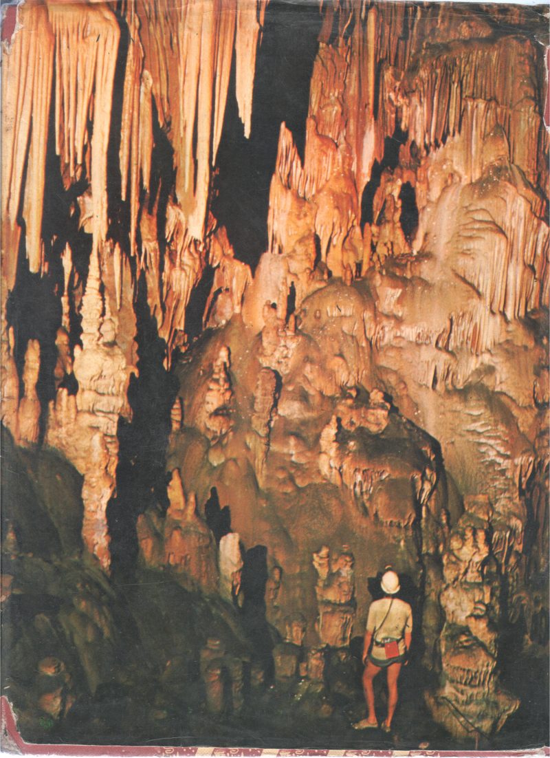 THE ARAB WORLD - Image 2