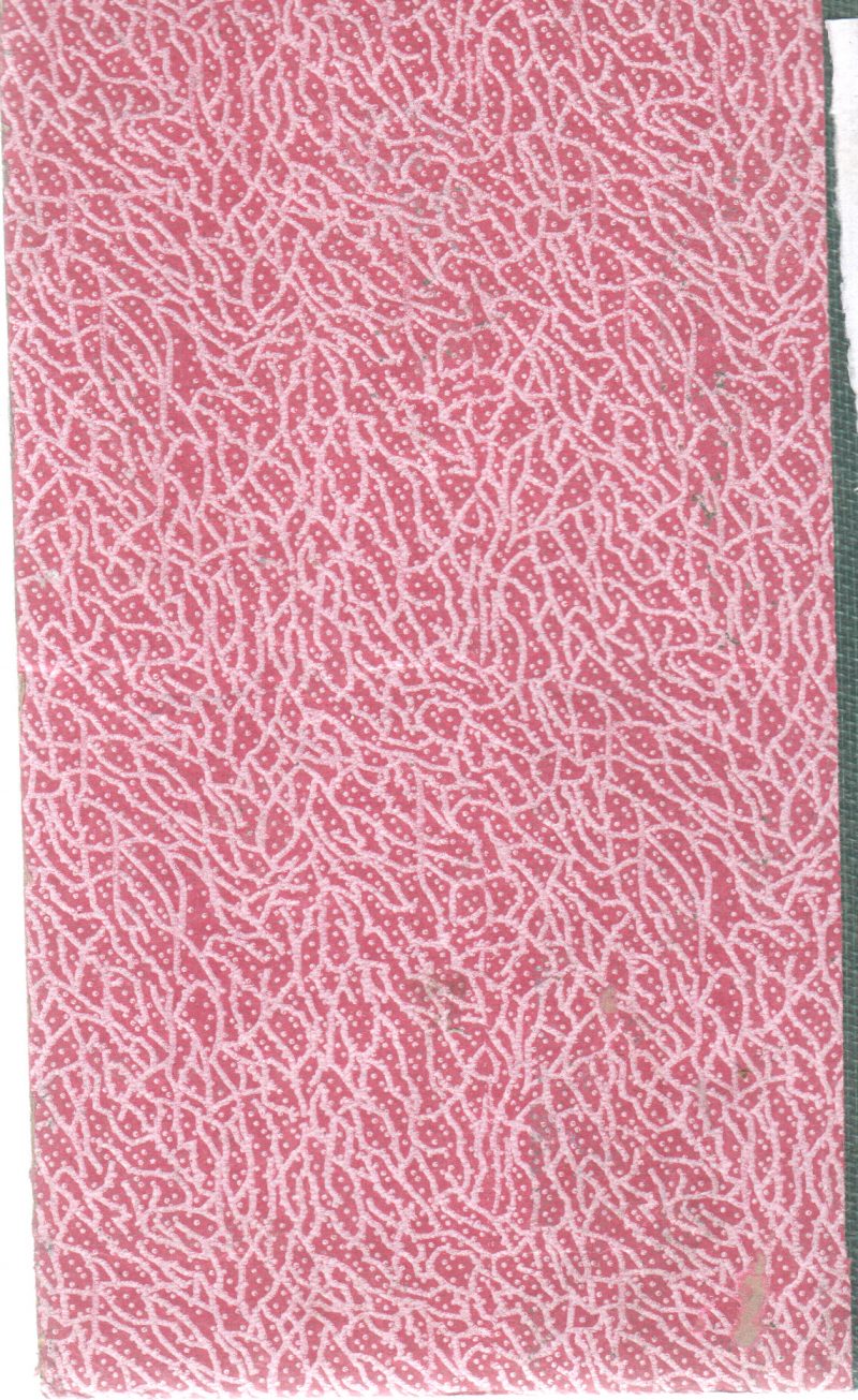 THE PARASITES BY DAPHNE DU MAURIER - Image 2