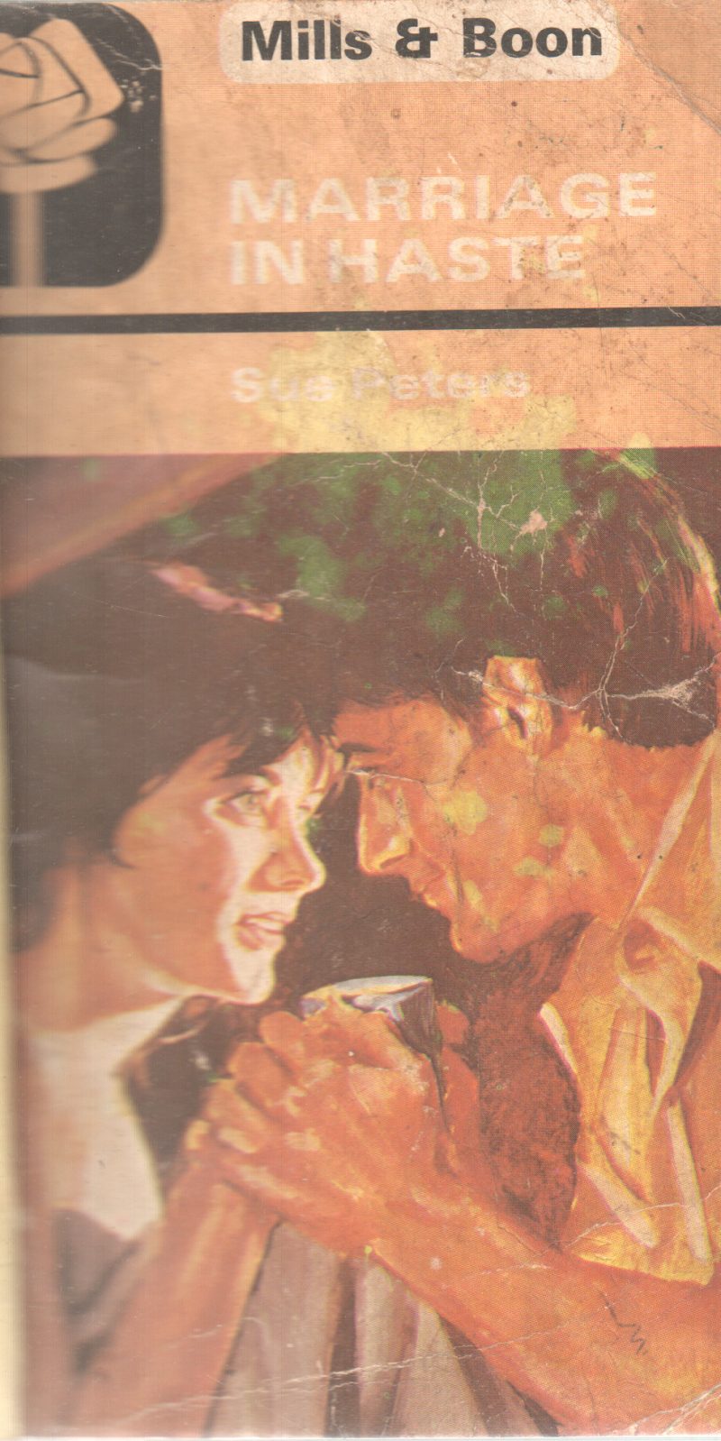 MARRIAGE IN HASTE BY SUE PETERS