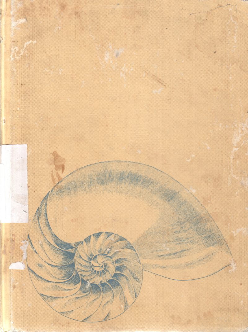 MY FIRST BOOK OF KNOWLEDGE BY DAVID ROBERTS
