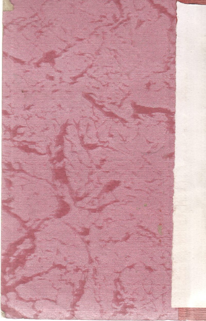 THE CLUE IN THE DIARY BY CAROLYN KEENE - Image 2