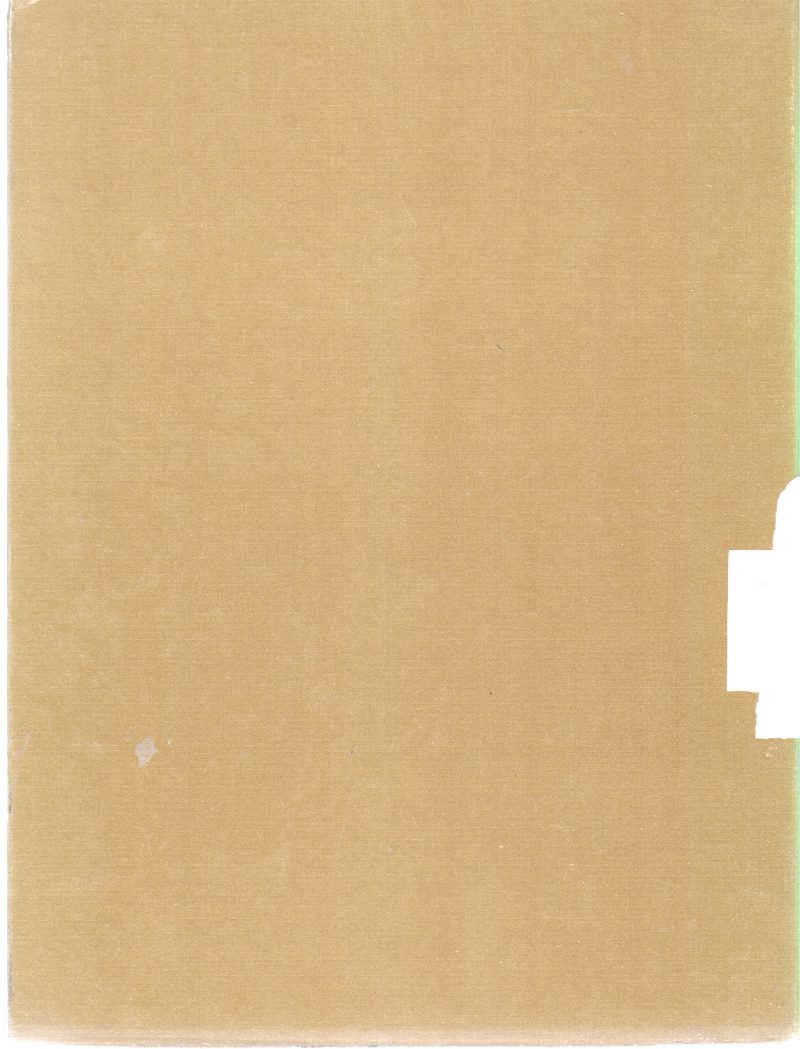 THE ENGINEER - Image 2