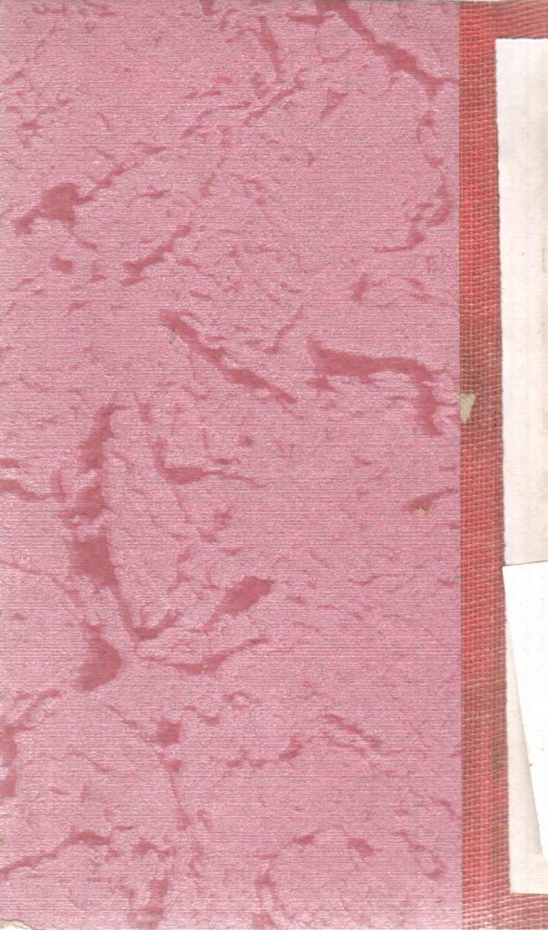 FUGITIVE WIFE BY SARA CRAVEN - Image 2