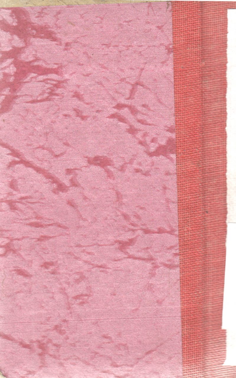 OUTBACK RUNAWAY BY DOROTHY CORK - Image 2