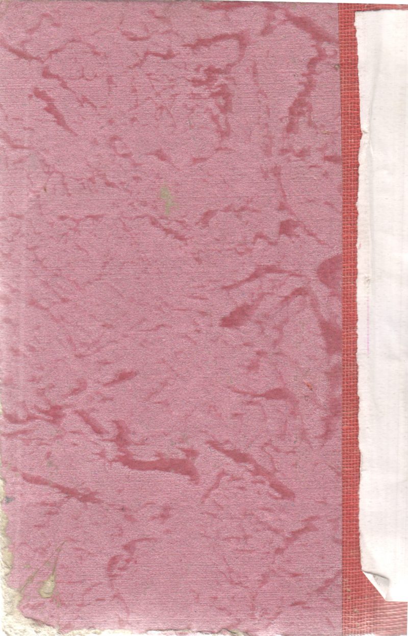 THE RESCUE - Image 2