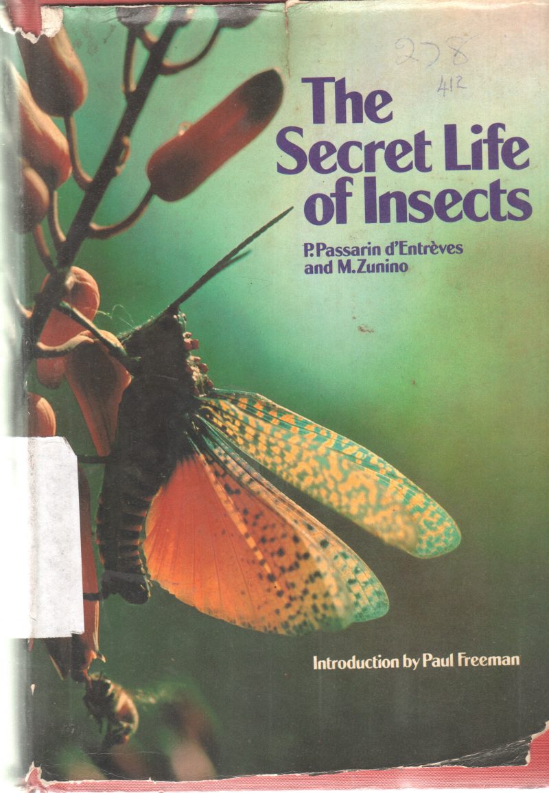 THE SECRET LIFE OF INSECTS BY P. PASSARIN D'ENTREVES