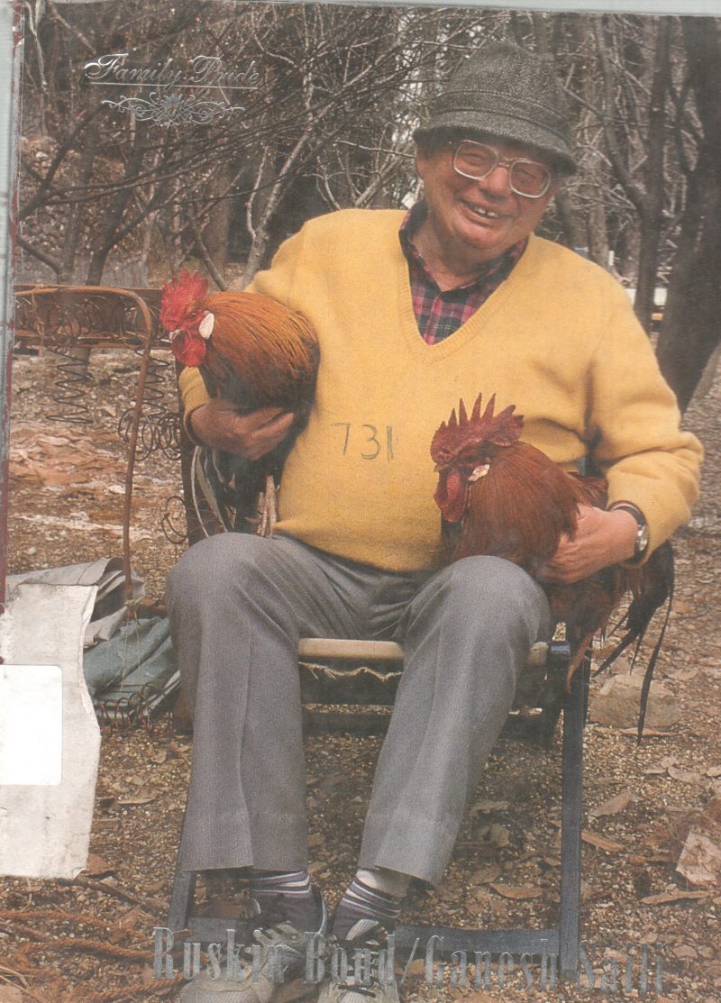 FAMILY GUIDE BY RUSKIN BOND