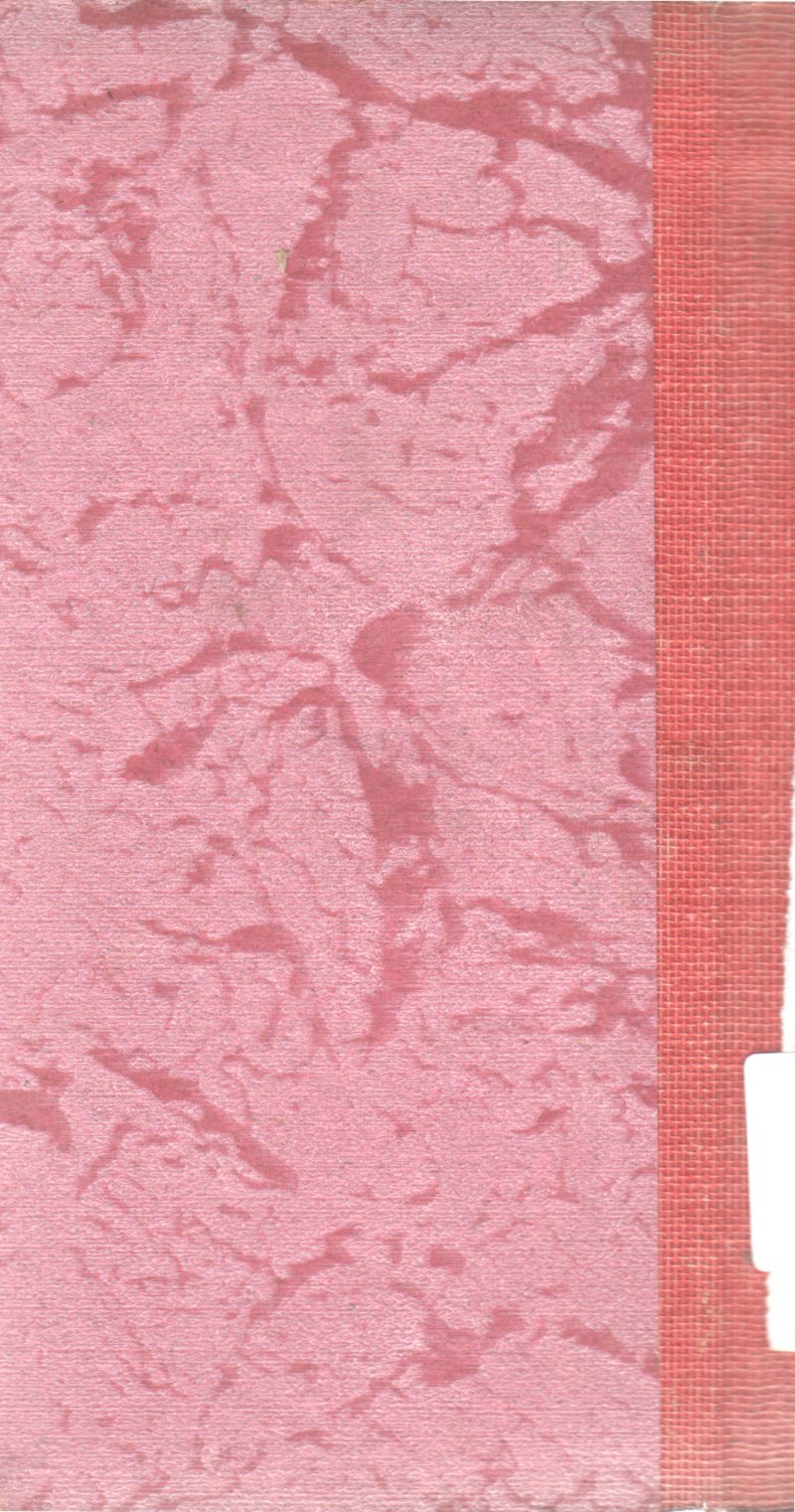 SECRET MARRIAGE BY DOROTHY CORK - Image 2