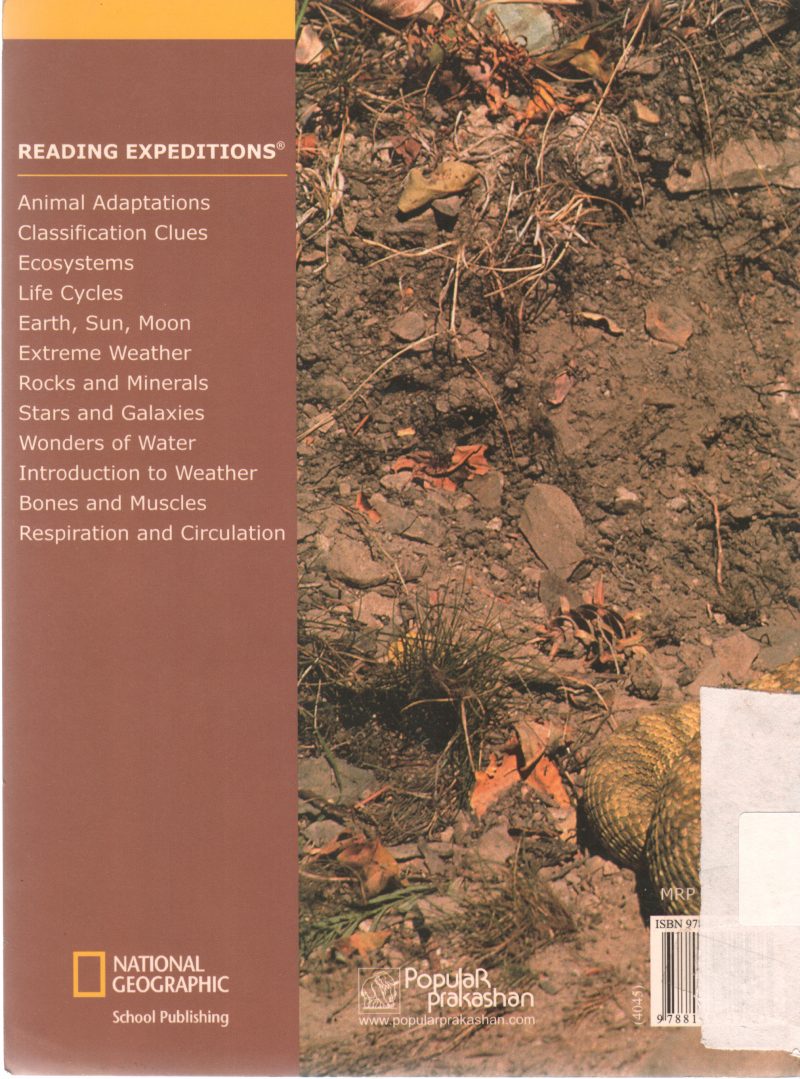 ECO SYSTEM BY NANCY FINTON - Image 2