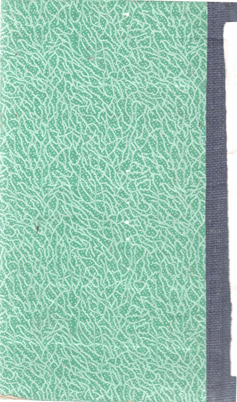 THE DISAPPEARING FLOOR BY FRANKLIN W. DIXON - Image 2