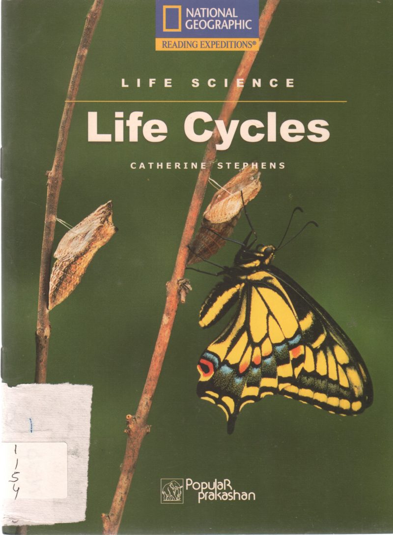 LIFE CYCLE BY CATHERIE STEPHEN