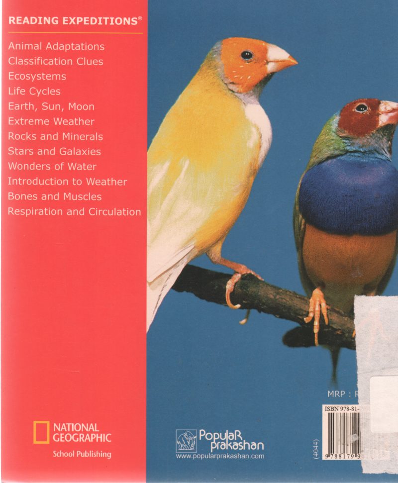 CLASSIFICATION CLUES BY CATHERINE STEPPHEN - Image 2