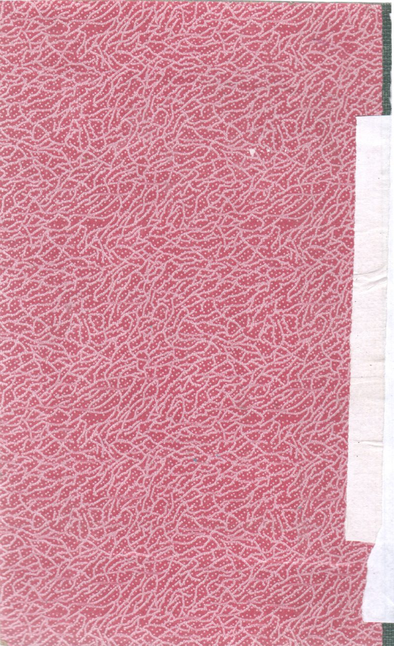 A THEMATIC STUDY BY PREMILA PAUL - Image 2