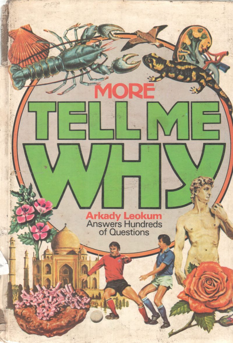 MORE TELL ME WHY BY ARKADY LEOKUM