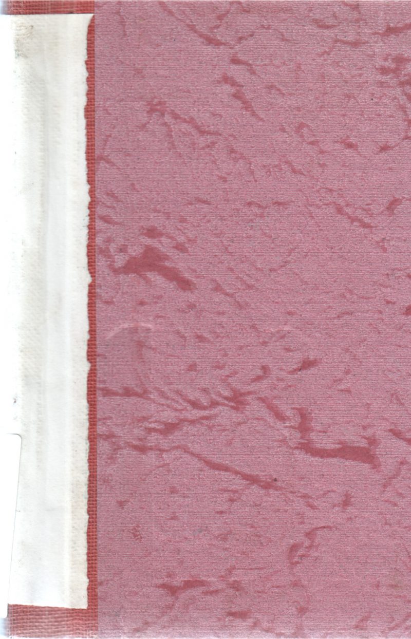 A FIGURE IN HIDING BY FRANKLIN W.DIXON - Image 2