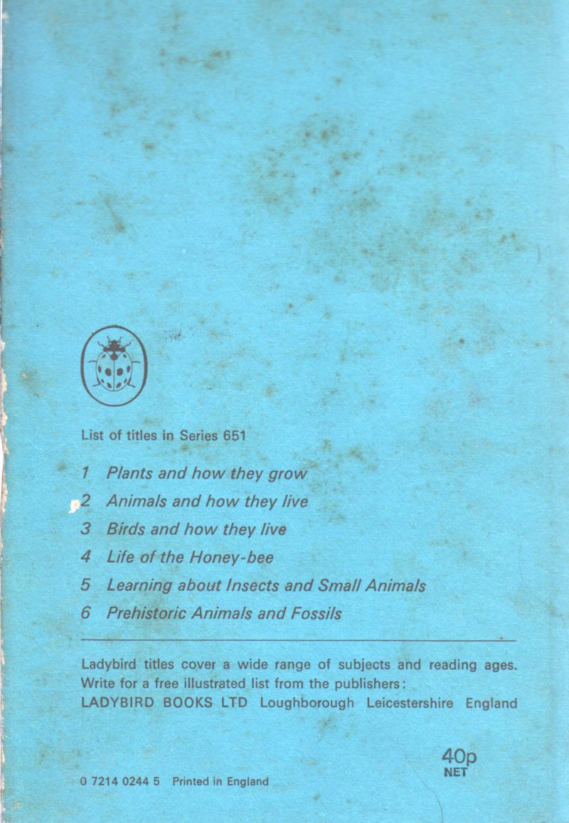 LIFE OF THE HONEY BEE - Image 2