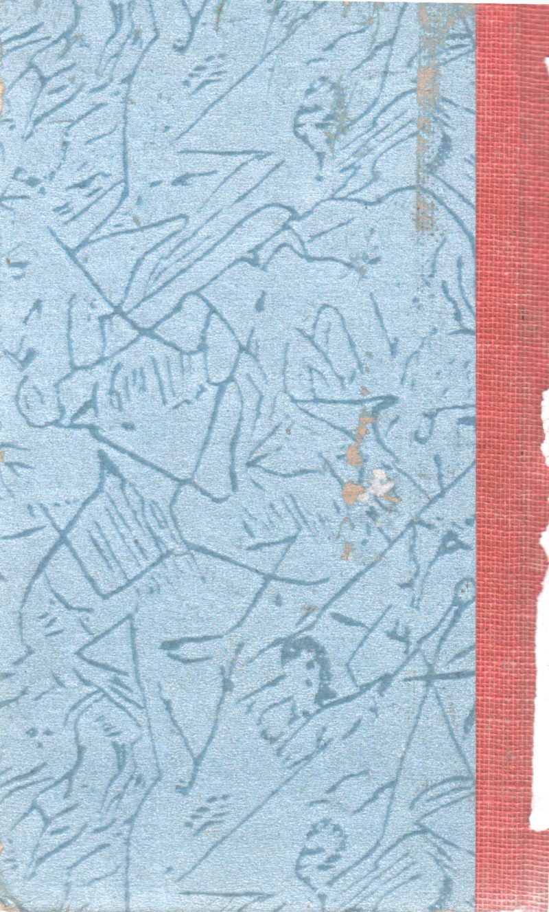DOCTOR HUDSON'S SECRET JOURNAL BY LLOYD C. DOUGLAS - Image 2