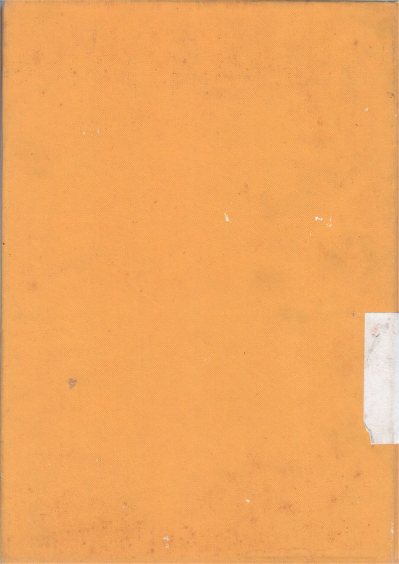 THE SYMPHONY - Image 2