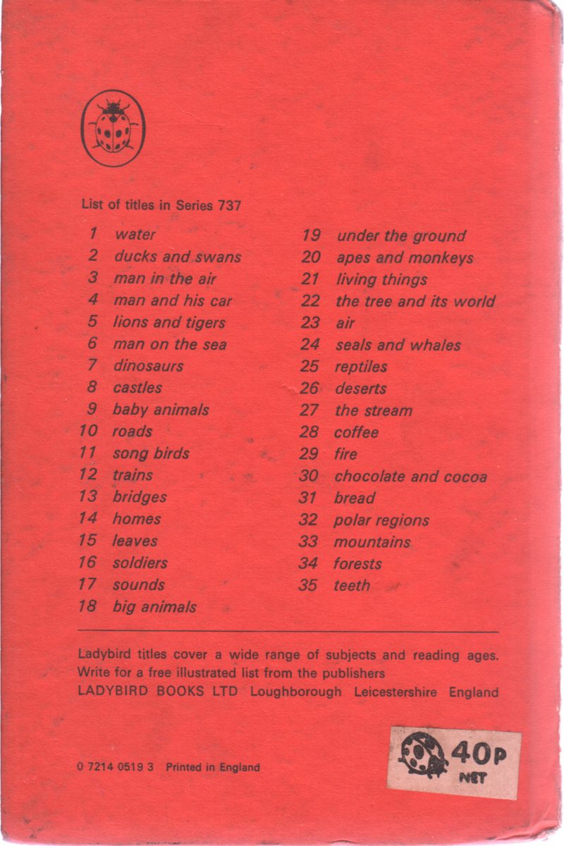 TEETH - Image 2